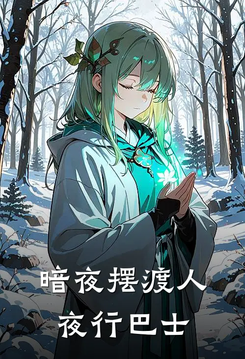 暗夜摆渡人-夜行巴士