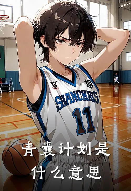 青囊计划是什么意思